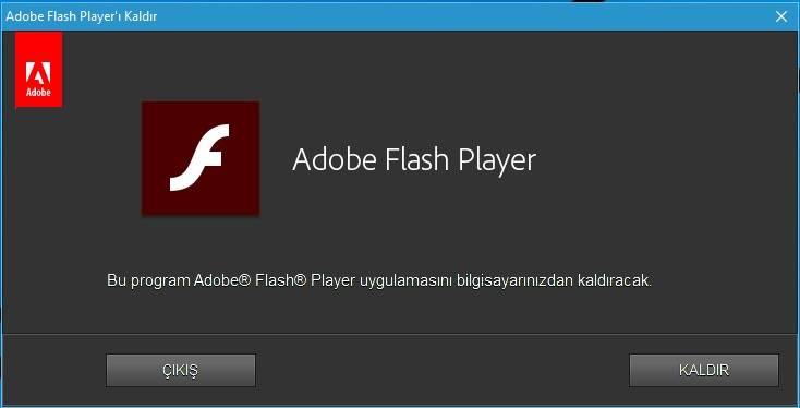 adobe flash player version 10
